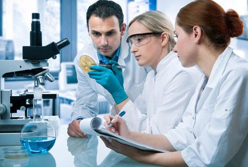 Putting Together the Pieces: Tissue Engineering Research & 3D Printing Possibilities