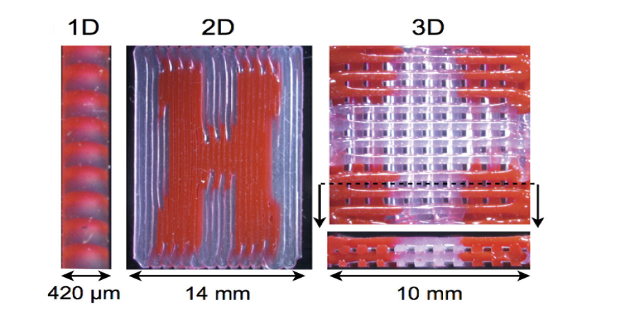 Researchers Describe Method of 3D Printing Multiple Viscoelastic Inks from Single Print Head