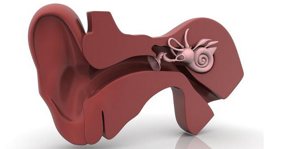 Sounds Good! Researchers Use 3D Printing to Produce Eardrum Scaffold