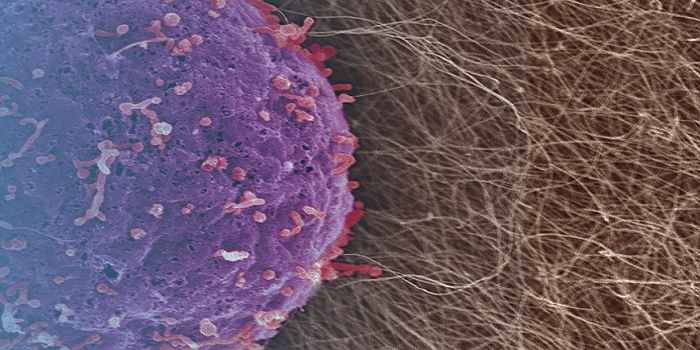 4D Printing on The Nanoscale -- Northwestern’s IIN Receives $8.5 Million Grant