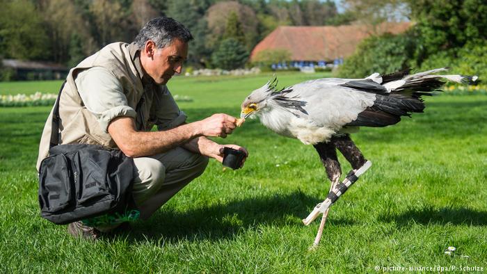 e-NABLE is Going to the Birds: 3D Printed Prosthetic Leg for a Secretary Bird in Germany
