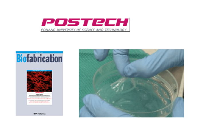 POSTECH Research Team Publishes Paper on Single-Step Process for 3D Bioprinting Synthetic Skin