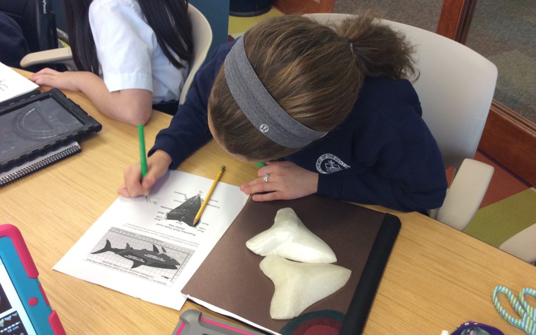 How University of Florida Researchers are Using 3D Printing and Digital Fossils to Improve Education