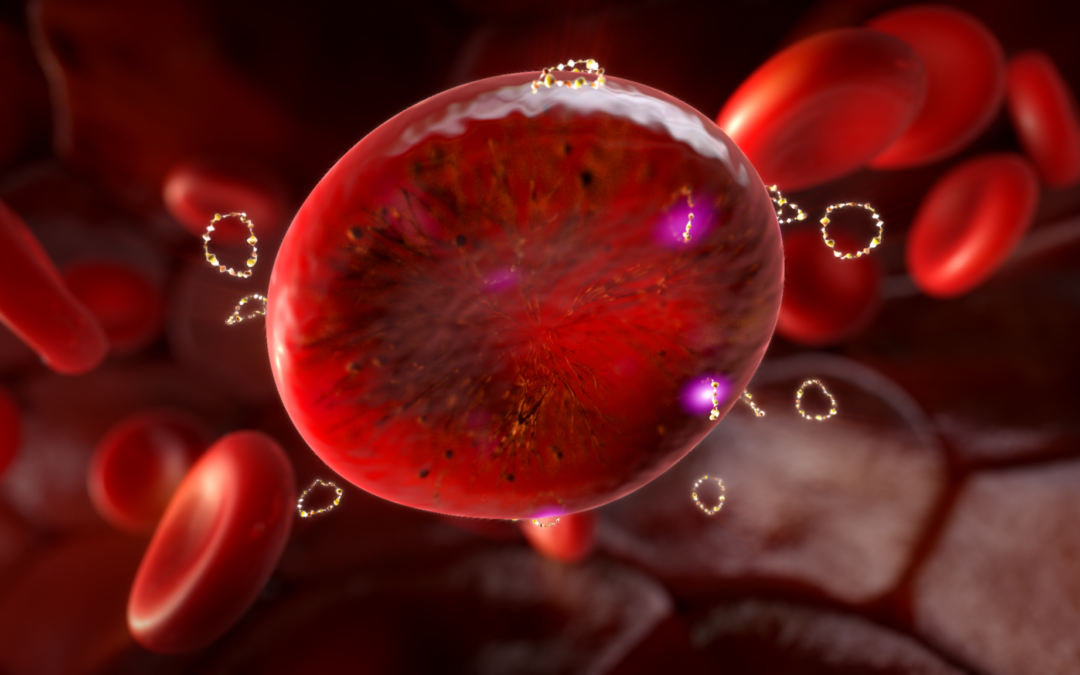 BIOLIFE4D Seeks Investment Funding for 3D Printed Hearts
