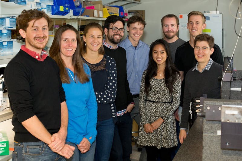 Jennifer Lewis' Work on 3D Organs-on-Chips Awarded 2017 Lush Prize