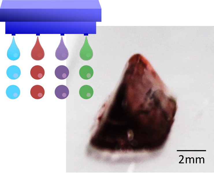 Japanese Researchers Take 3D Bioprinting Another Step Forward