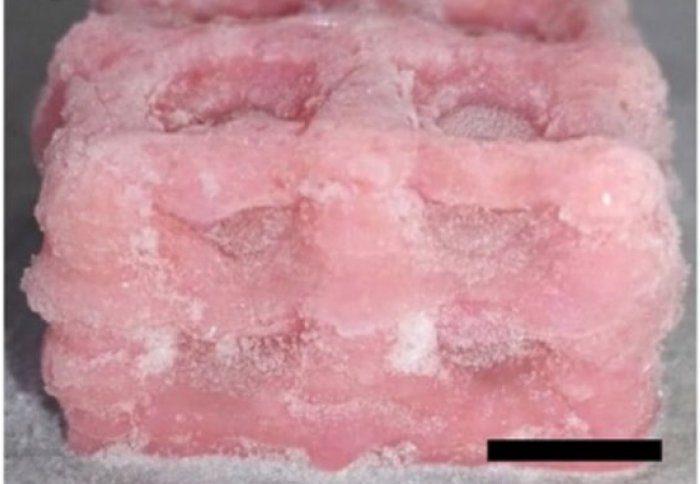 Cryogenics and 3D Printing Used to Create Super-Soft Replicas of Biological Structures for Tissue Regeneration