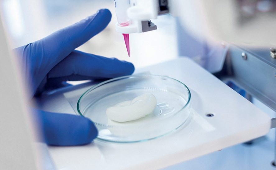 Cellink Turns to 3D Printing Tumors to Combat Cancer