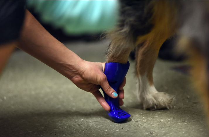 University's 3D Printing Club Creates a 3D Printed Foot for a Local Dog