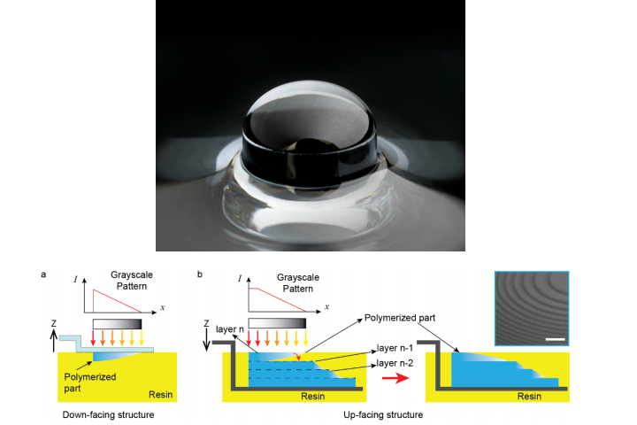 New 3D Printing Method Lets Northwestern Researchers Quickly 3D Print Low-Cost, Customized Lenses
