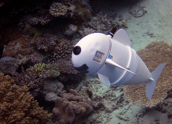 Soft Robotic Fish with 3D Printed Components Ready for Marine Life Observation