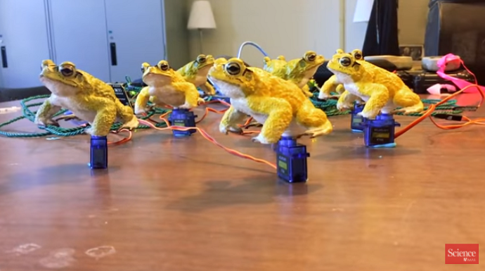 Researchers Successfully Using 3D Printing to Study Complex Animal Behaviors