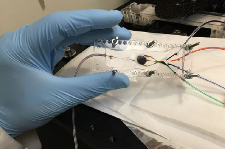 New Multi-Material Bioprinting Technique Advances On-Demand Complex Tissue 3D Printing