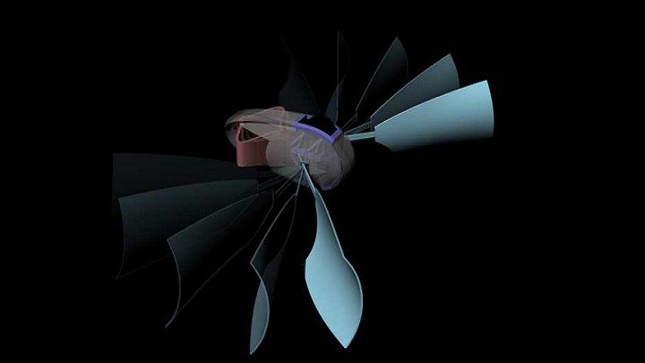 3D Printed Swimming Soft Robot Uses Shape Memory Polymers to Paddle Forwards and Backwards