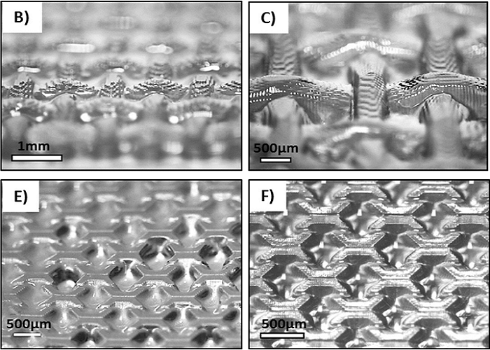 Collaborative Research Team Develops Bioresin for DLP 3D Printing for Synthesizing Tissue