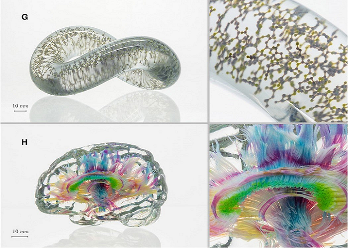Researchers Develop Multimaterial Voxel-3D Printing Method For More Direct Data to Object Translation